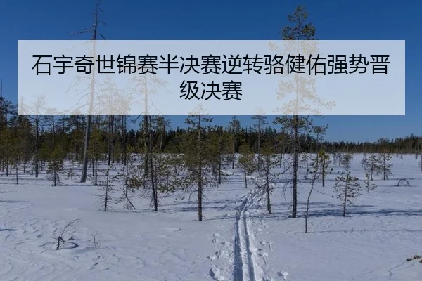 shi-yu-qi-shi-jin-sai-ban-jue-sai-ni-zhuan-luo-jian-you-qiang-shi-jin-ji-jue-sai-3-415.jpg