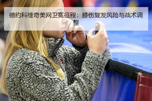 de-yue-ke-wei-qi-mei-wang-wei-mian-zheng-cheng-xi-shang-fu-fa-feng-xian-yu-zhan-shu-tiao-zheng-3-399.jpg