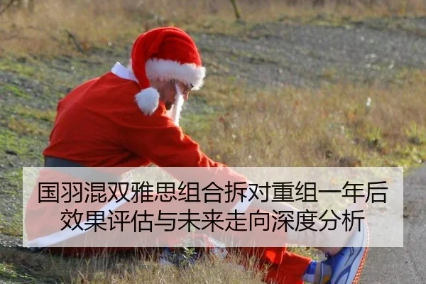 国羽混双雅思组合拆对重组一年后效果评估与未来走向深度分析